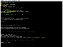 Starting fdisk.efi and creating GPT System Partition