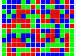 The game window