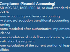 UGAAP Lease Accounting Screenshot 1