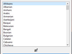 Interface Language Translator UI shots 5