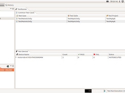 Test Case Execution