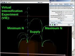 3) Virtual Intensification Experiment (VIE)