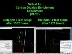 2) Virtual Air Carbon Dioxide Enrichment (VACE)