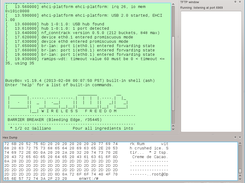 HexDump and TFTP windows