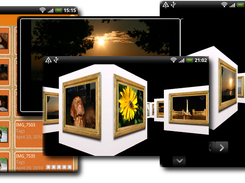 Gallery Modes
