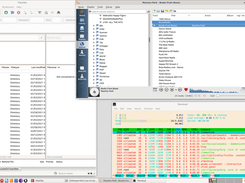 Filezilla_Clementine_Htop