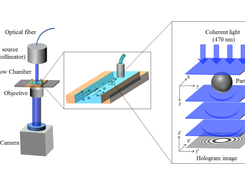 Experimental Setup 