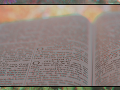 Unity-Stereoscopic-Image-Viewer Screenshot 1