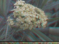 Unity-Stereoscopic-Image-Viewer Screenshot 3