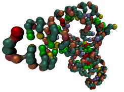 Coarse-grained RNA molecule PDB ID 3L0U with textured Hyperballs