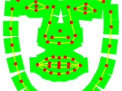 Representation of ASM - shape model + local patches