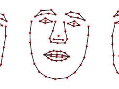 Shape model mode 1