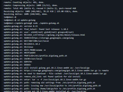 update-golang Screenshot 1