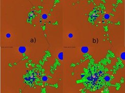 A city in 2D shown at multiple times during the simulation