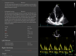 Us2.ai Screenshot 1