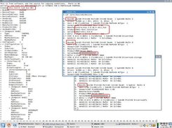 usb storage device forwarded to a virtual host controller