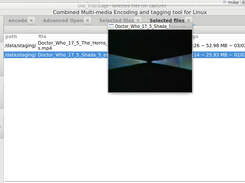 files list with video preview