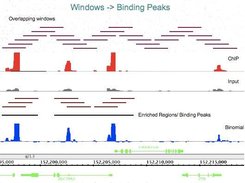 USeq ChIP-Seq Algorithm 2