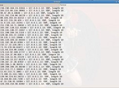 ./fudp -r -p 53 localhost