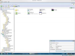 Windows client