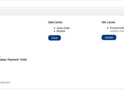 Cache Manage