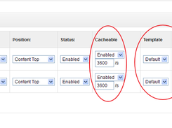 Cacheable Modules