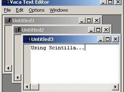 A text editor using MDI