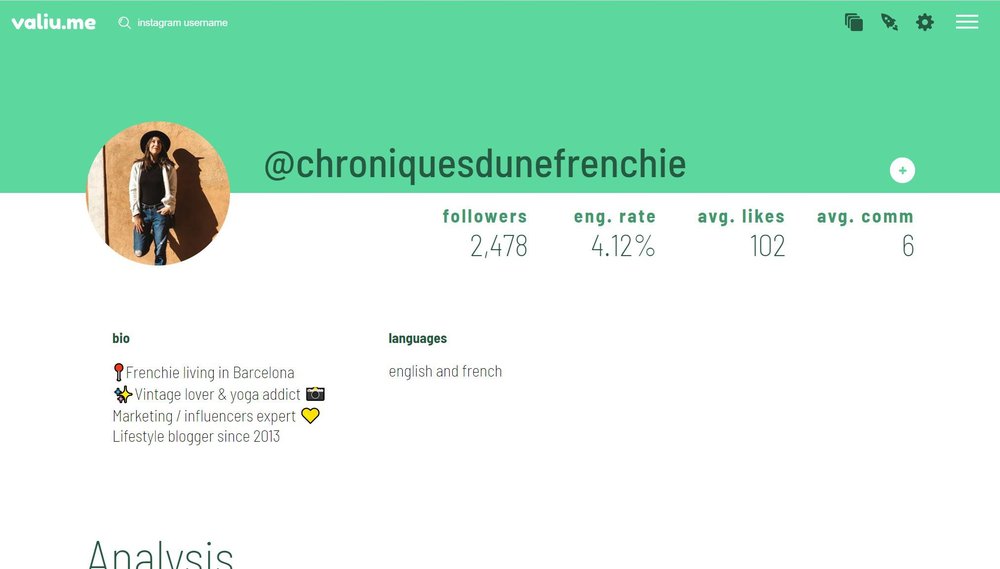 Instagram Influencer Profile Analysis - Main Info