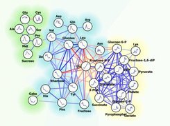 Correlation network with enabled cluster background coloring