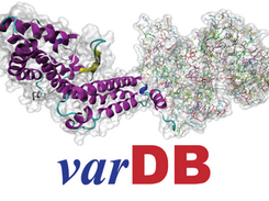 varDB: an antigenic variation database Screenshot 1