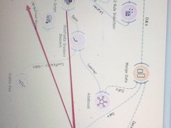 vBioE2 Screenshot 4