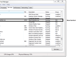 Showing the Name in Services Manager