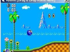 Sonic the Hedgehog