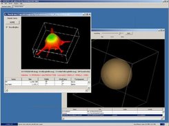 VCell interactive 3D simulation and surface viewers.