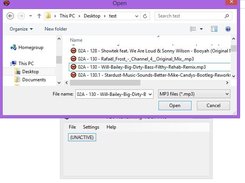 VDJ Renaming Tool Screenshot 3