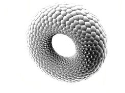 Bump-mapped torus