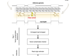 Overall Vecuum workflow