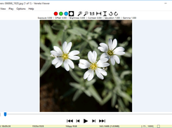 Image sequence mode