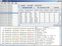 View ORFs and sequences