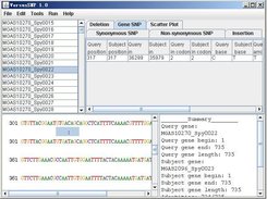 Alignment and mutation sites