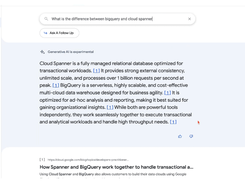 Vertex AI Search Screenshot 2
