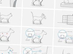 Engaging videos and diagrams