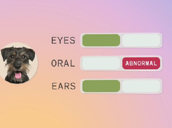 Vetspire Screenshot 1