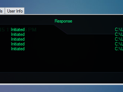 Custom Commands
