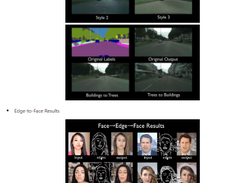 vid2vid Screenshot 1