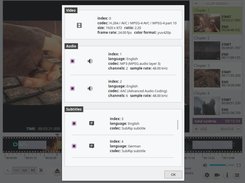 VidCutter Screenshot 3