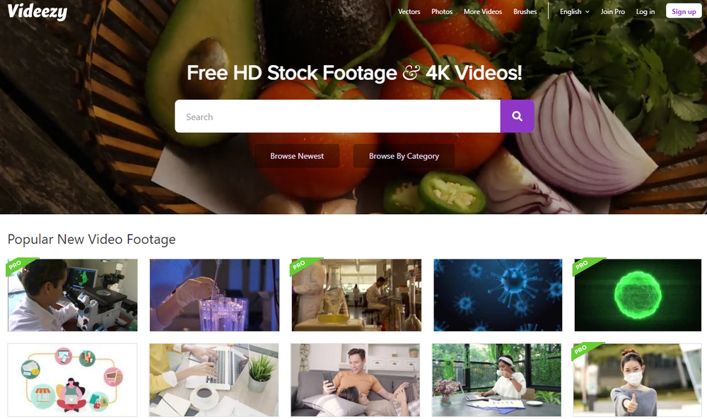 Videezy Screenshot 1