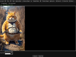 Load Video