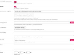 Video Wordpress Theme Screenshot 1