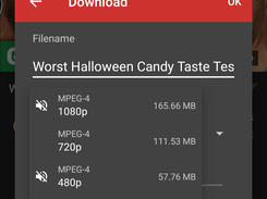 Supports Different formats Download for YouTube